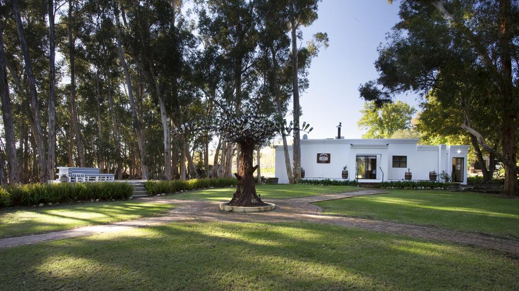 Rest At Chabivin Villa Stellenbosch Buitenkant foto